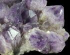 Amethyst Cluster ( lbs) - Massive Points #65011-3